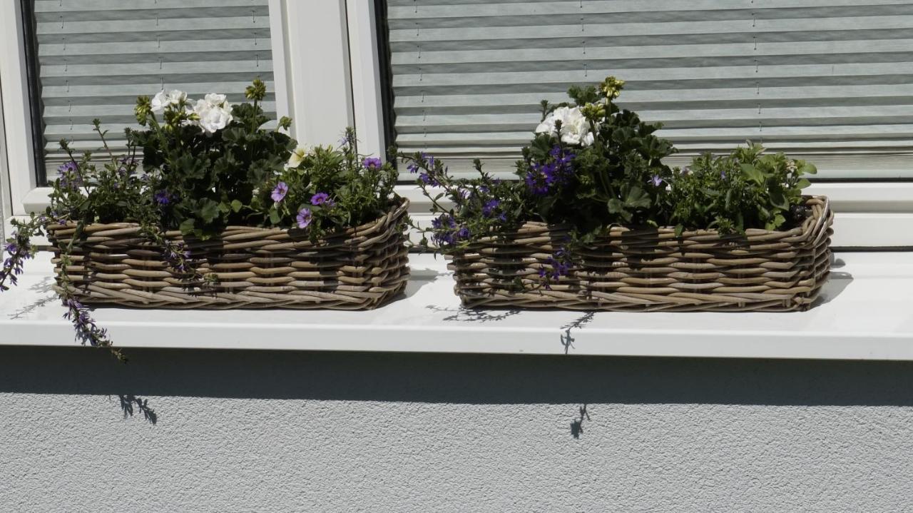 Ferienwohnung Wiesenblick Buchholz Exterior foto