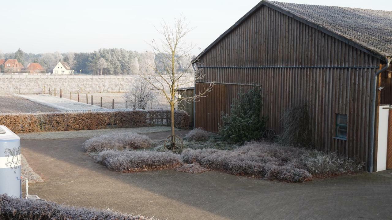 Ferienwohnung Wiesenblick Buchholz Exterior foto